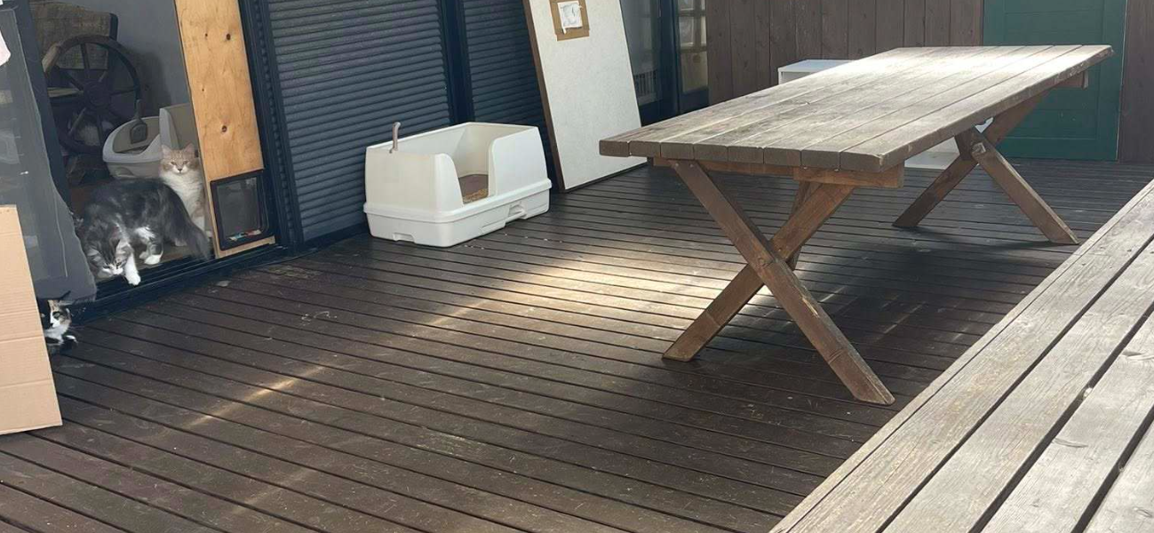 福岡県ブリーダー 山井龍己のノルウェージャン専用テラス